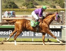 California_Chrome_2